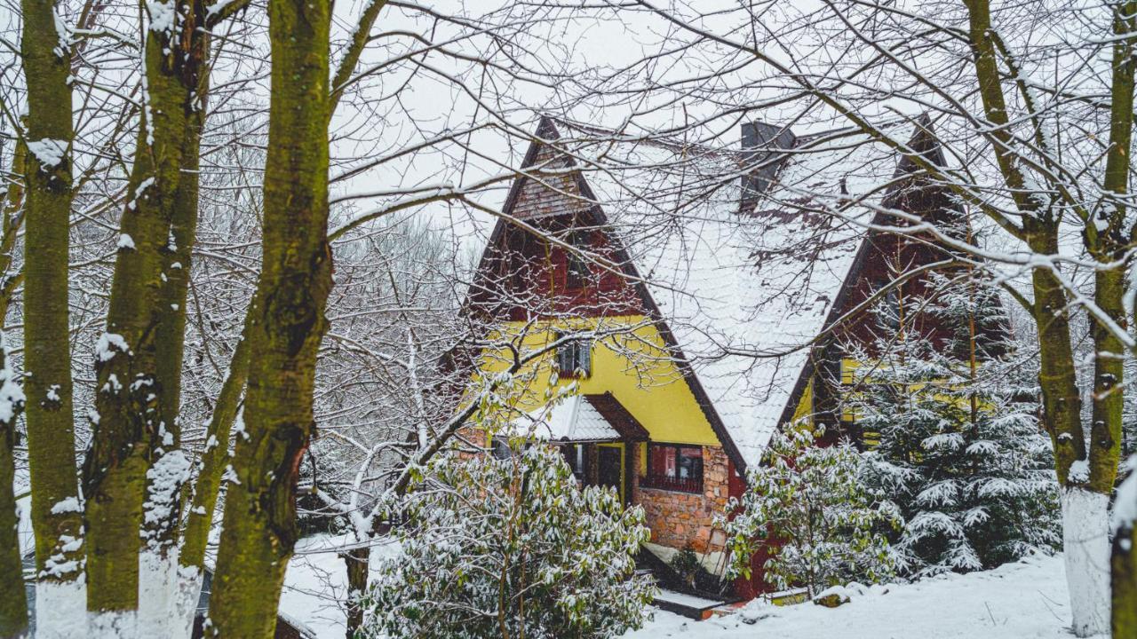 Lesniczowka Pod Sniezka Bed & Breakfast Bukowiec  Exterior photo